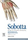 Sobotta Atlas of Human Anatomy, Vol.1, 15th ed., English : General Anatomy and Musculoskeletal System
