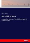 Mr. Rabbit at Home