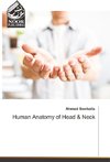 Human Anatomy of Head & Neck