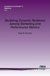 Modeling Dynamic Relations Among Marketing and Performance Metrics