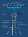 Anatomy of Bones and Joints