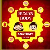 Human Body Anatomy for Kids