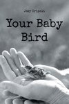 Your Baby Bird