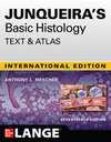Junqueira's Basic Histology: Text and Atlas, Seventeenth Edition 