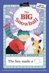 Big Snowball lvl Picture Reader