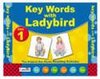 Key Words with Ladybird Box 1