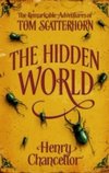 The Hidden World: The Remarkable Adventures of Tom Scatterhorn
