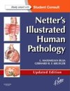 Netter`s Illustrated Human Pathology Updated Edition