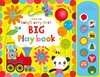 Babys very first big play book