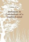 Delusions & Conclusions of a troubled mind