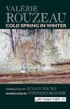 Cold Spring in Winter