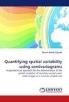 Quantifying spatial variability using semivariograms