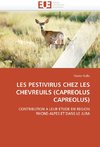 Les pestivirus chez les chevreuils (capreolus capreolus)