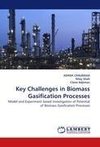Key Challenges in Biomass Gasification Processes