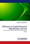 Efficiency in Capital Resource Mobilization and Use