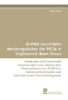 sh-RNA vermittelte Herabregulation der PKC¿ in Engineered Heart Tissue