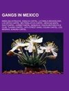 Gangs in Mexico