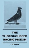 The Thoroughbred Racing Pigeon