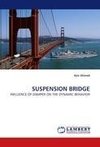 SUSPENSION BRIDGE