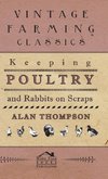 Keeping Poultry And Rabbits On Scraps