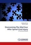 Overcoming The Glial Scar After Spinal Cord Injury
