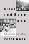 Blackness and Race Mixture