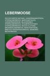 Lebermoose