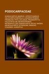 Podocarpaceae