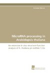 MicroRNA processing in Arabidopsis thaliana