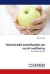 Microcredit contribution on social wellbeing