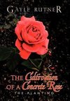 The Cultivation of a Concrete Rose
