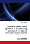 Formation of the power spectrum in the accreting compact X-ray objects