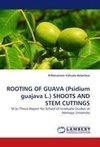 ROOTING OF GUAVA (Psidium guajava L.) SHOOTS AND STEM CUTTINGS