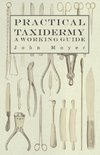 Practical Taxidermy - A Working Guide