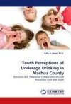 Youth Perceptions of Underage Drinking in Alachua County