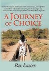 A Journey of Choice