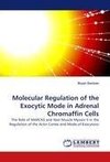 Molecular Regulation of the Exocytic Mode in Adrenal Chromaffin Cells