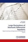 Large Fluctuations of Stochastic Differential Equations