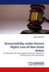 Accountability under Human Rights Law of Non-State Actors