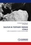 SULFUR IN TERTIARY INDIAN COALS