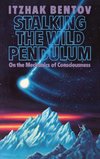 Stalking the Wild Pendulum