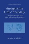 Aurignacian Lithic Economy