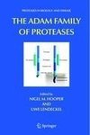 The ADAM Family of Proteases