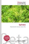 Spiraea
