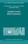 Variable Density Fluid Turbulence