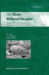 The Brain Without Oxygen