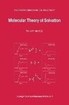 Molecular Theory of Solvation