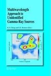 Multiwavelength Approach to Unidentified Gamma-Ray Sources