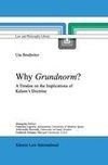 Why Grundnorm?