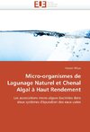 Micro-organismes de lagunage naturel et chenal algal à haut rendement